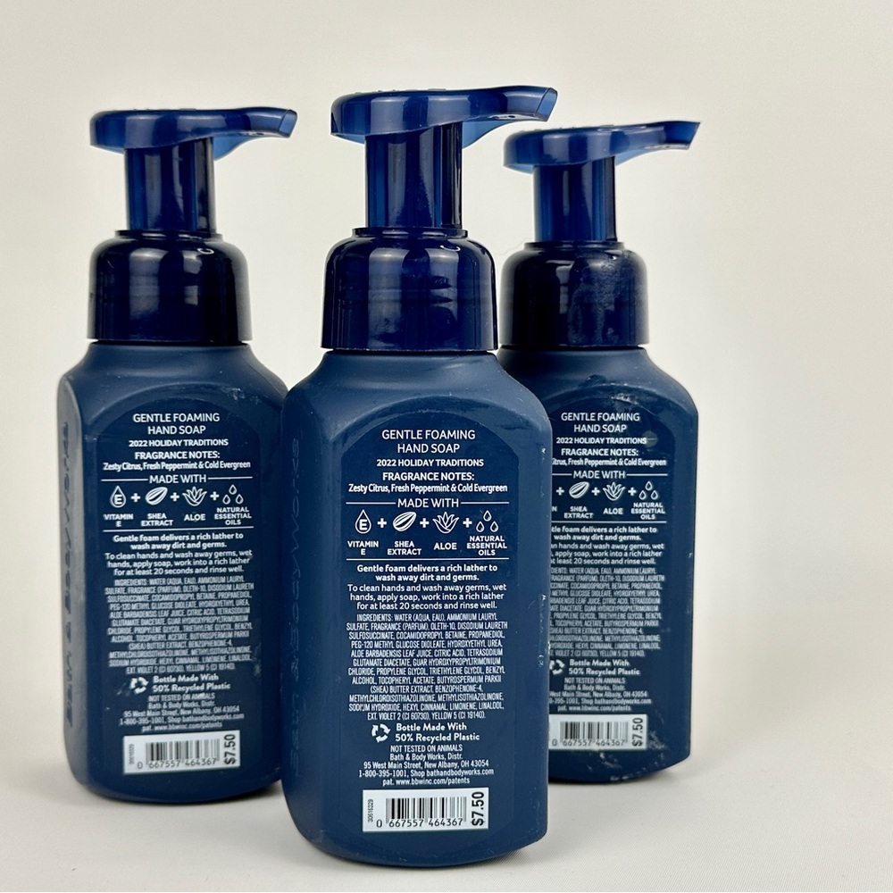 3 BBW Fresh Winter Air Foaming Hand Soap 8.75 ounces each Full Size NEW - Picture 2 of 4